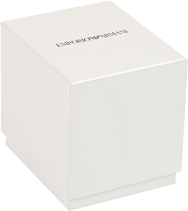 Buy Emporio Armani AR1909 Watch in India I Swiss Time House