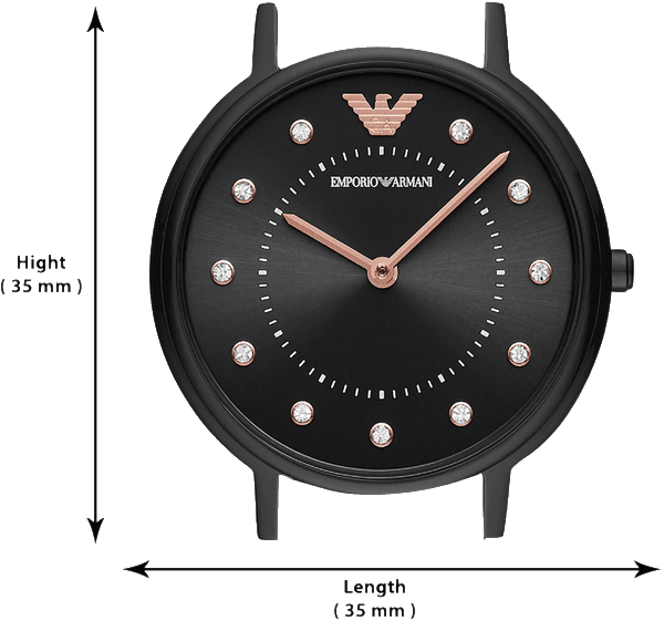 Buy Emporio Armani AR11252 Watch in India I Swiss Time House