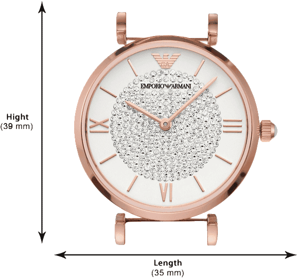 Buy Emporio Armani AR11244 Watch in India I Swiss Time House