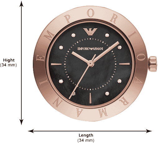 Buy Emporio Armani AR11251 Watch in India I Swiss Time House