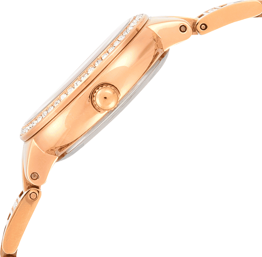 Es3284 fossil shop