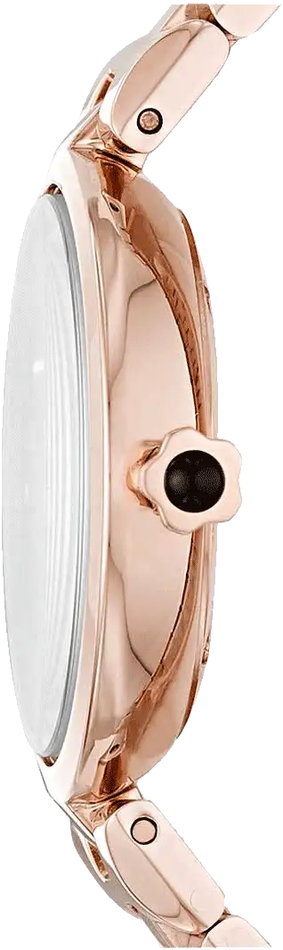 Buy Emporio Armani AR11197 I Watch in India I Swiss Time House