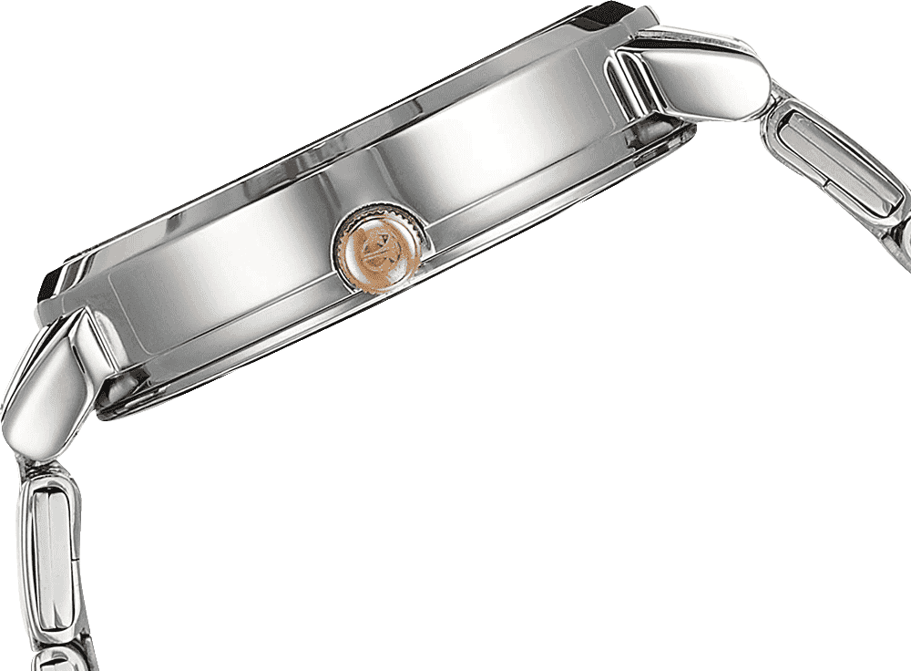 Buy Titan 2569KM01 Watch in India I Swiss Time House