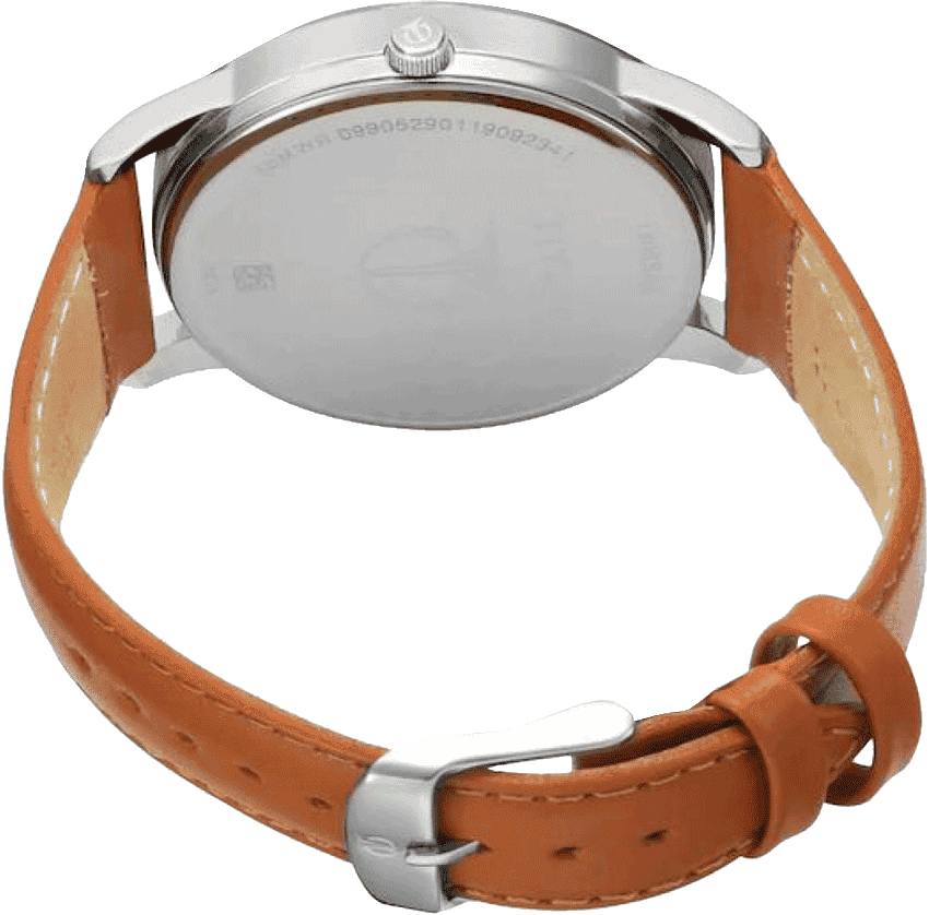 Buy Titan 1806SL02 Watch in India I Swiss Time House