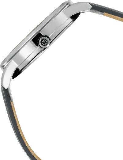 Buy Titan 1806SL03 Watch in India I Swiss Time House
