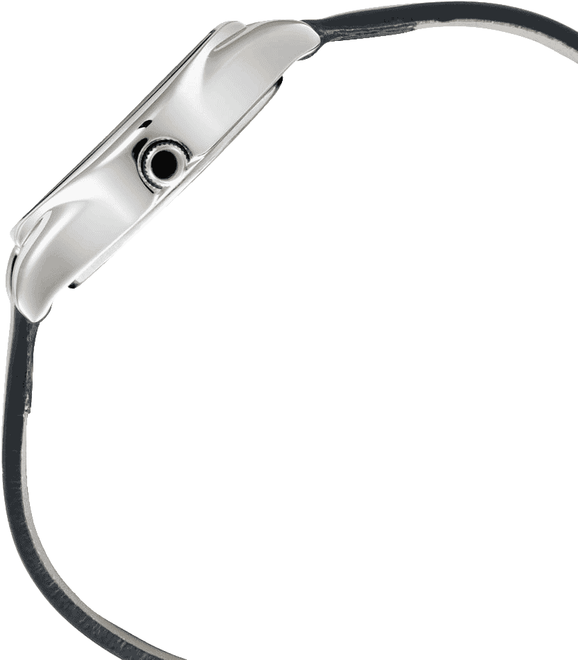 Buy Titan 2597SL01 Watch in India I Swiss Time House